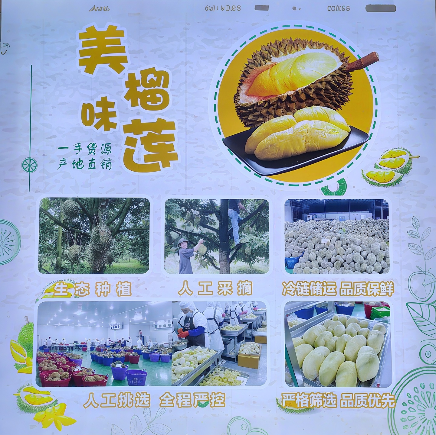 新品展示1
