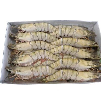 黑虎虾