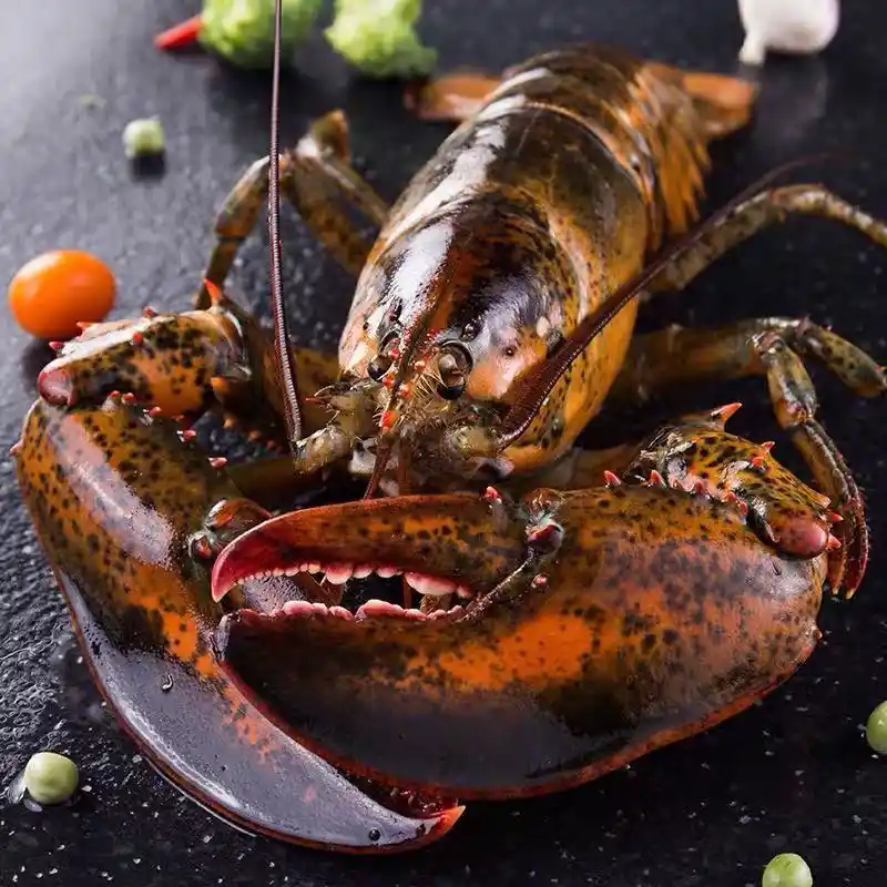 波士顿龙虾