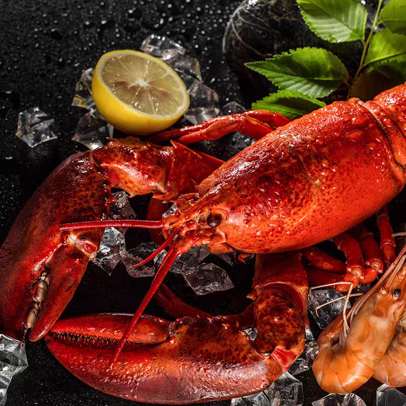 熟冻波士顿龙虾